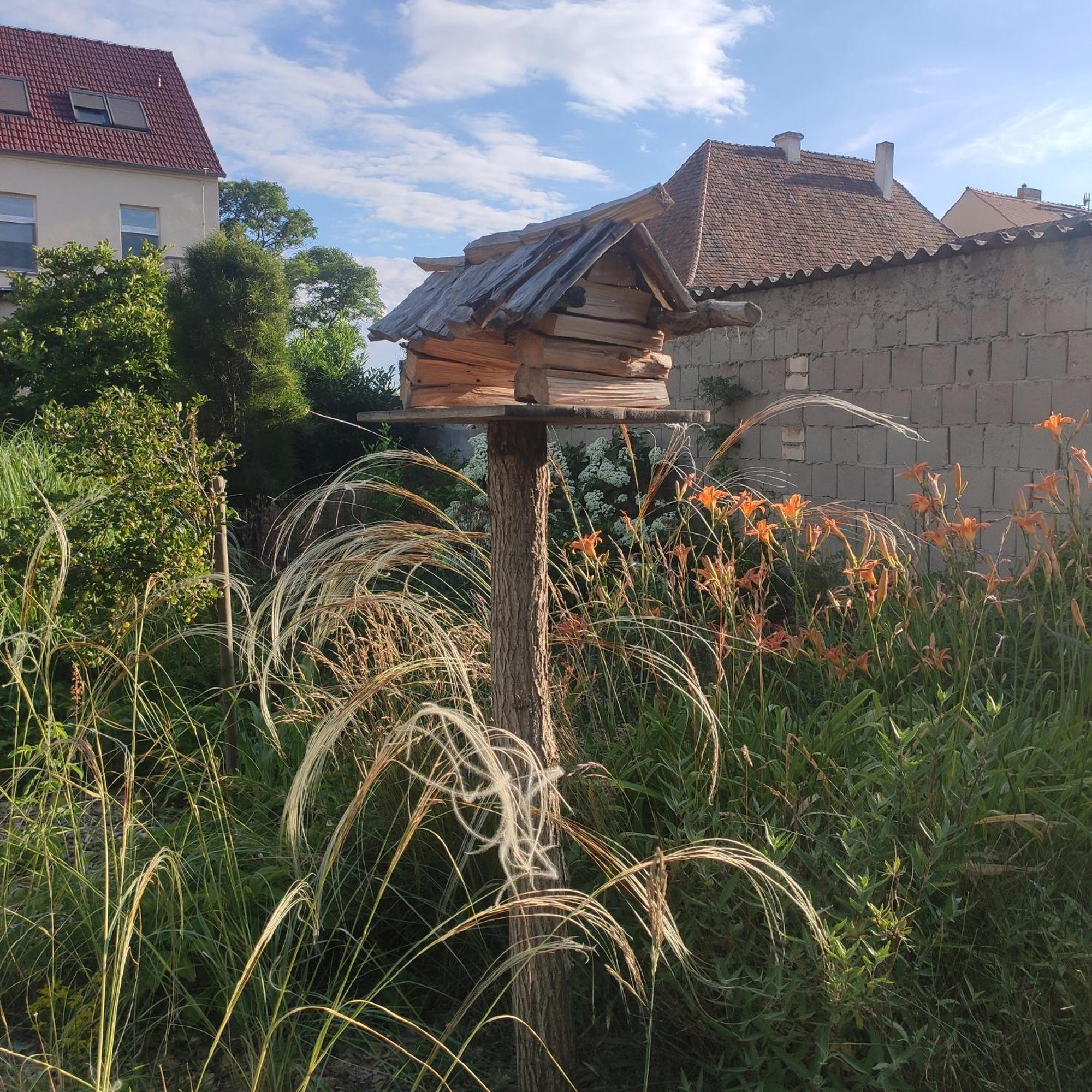 Flussperle * Coswig (Anhalt)
